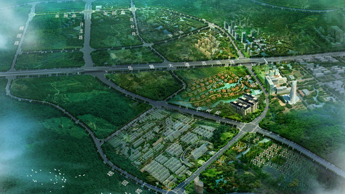 桐寧路、茶園路道路工程